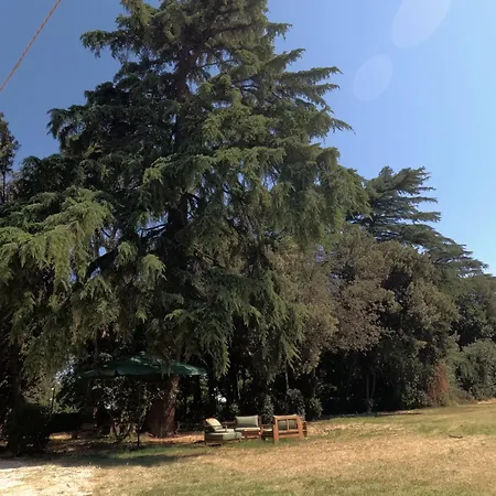 L'appartamento, Casa Del Fattore, Luzi Con Ac E Piscina Pubblica 公寓